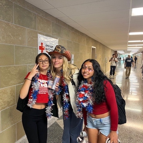USA day