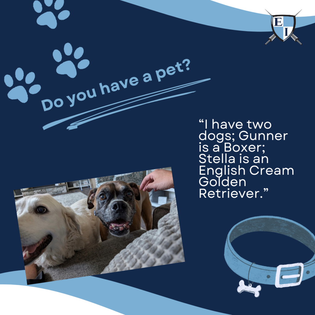 Do you have a pet? "I have two dogs; Gunner is a boxer; STella is a English Cream Golden Retriver."