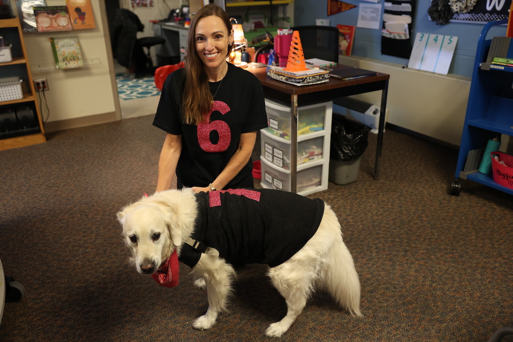 dog and librarian wear matching 6 7 shirts 