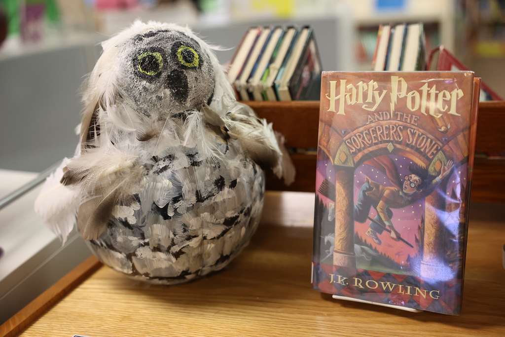 Harry potter and owl pumpkin