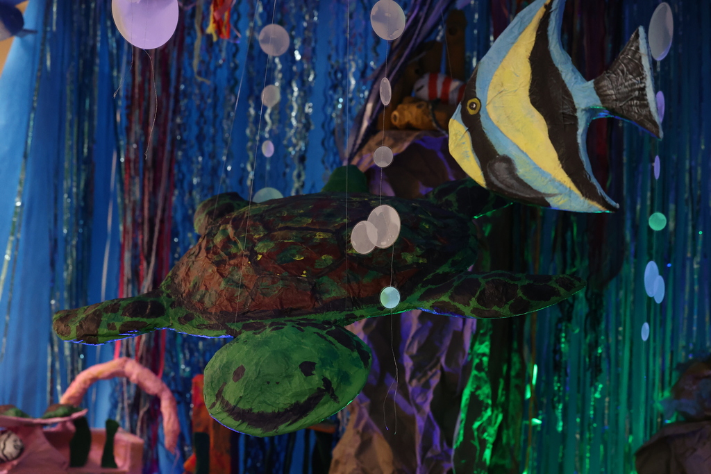 sea turtle and fish project
