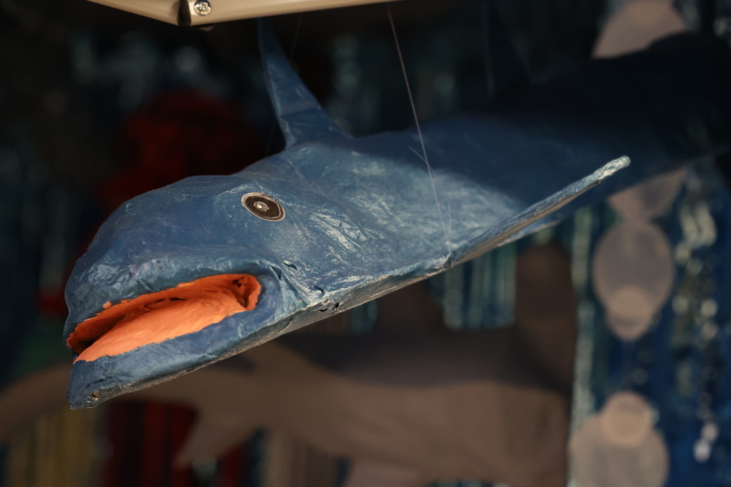 shark painted project