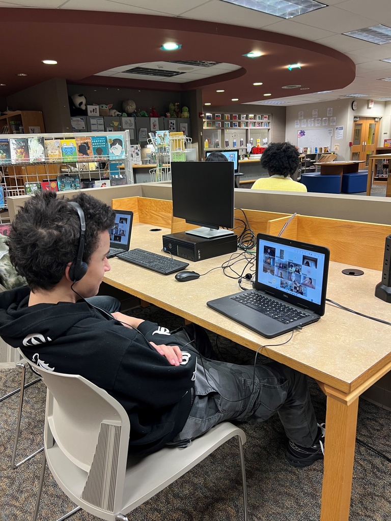 student looks at screen during a virtual chat