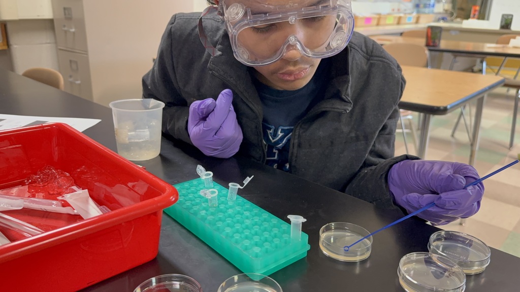 Biotech club conducting an experiment