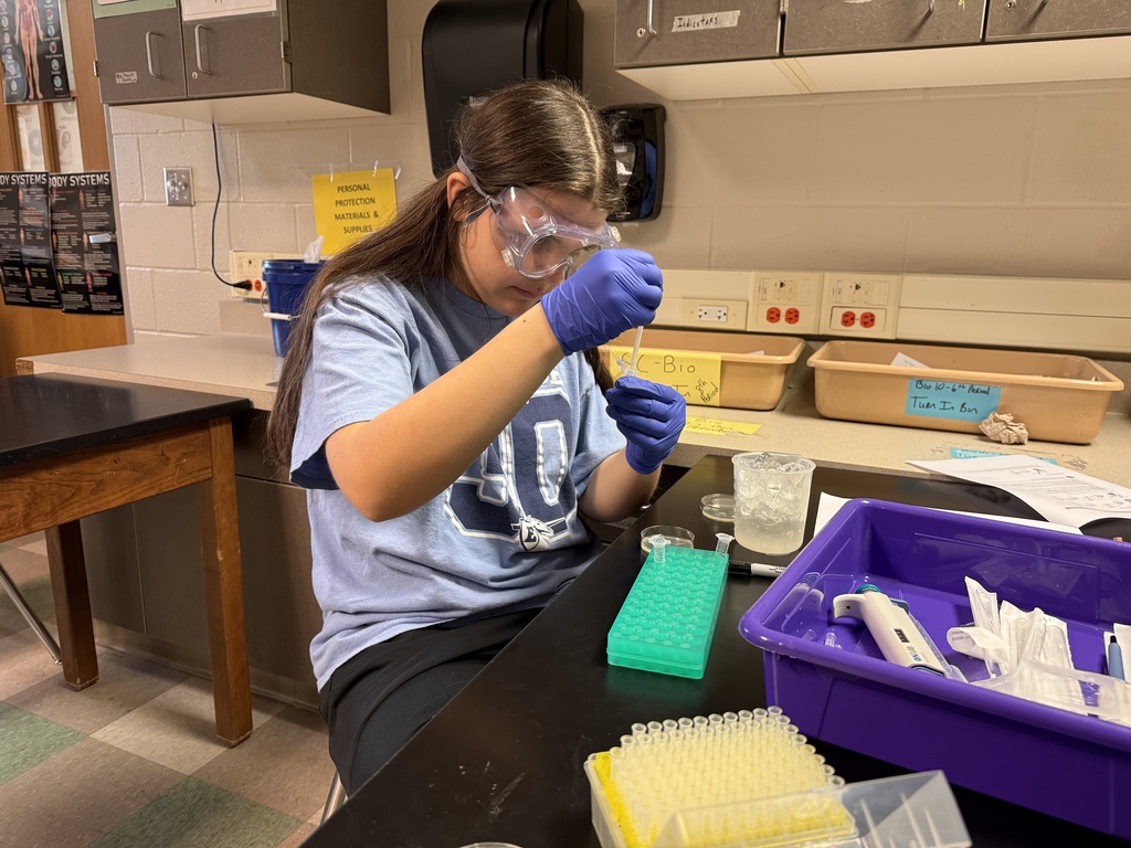 Biotech club conducting an experiment