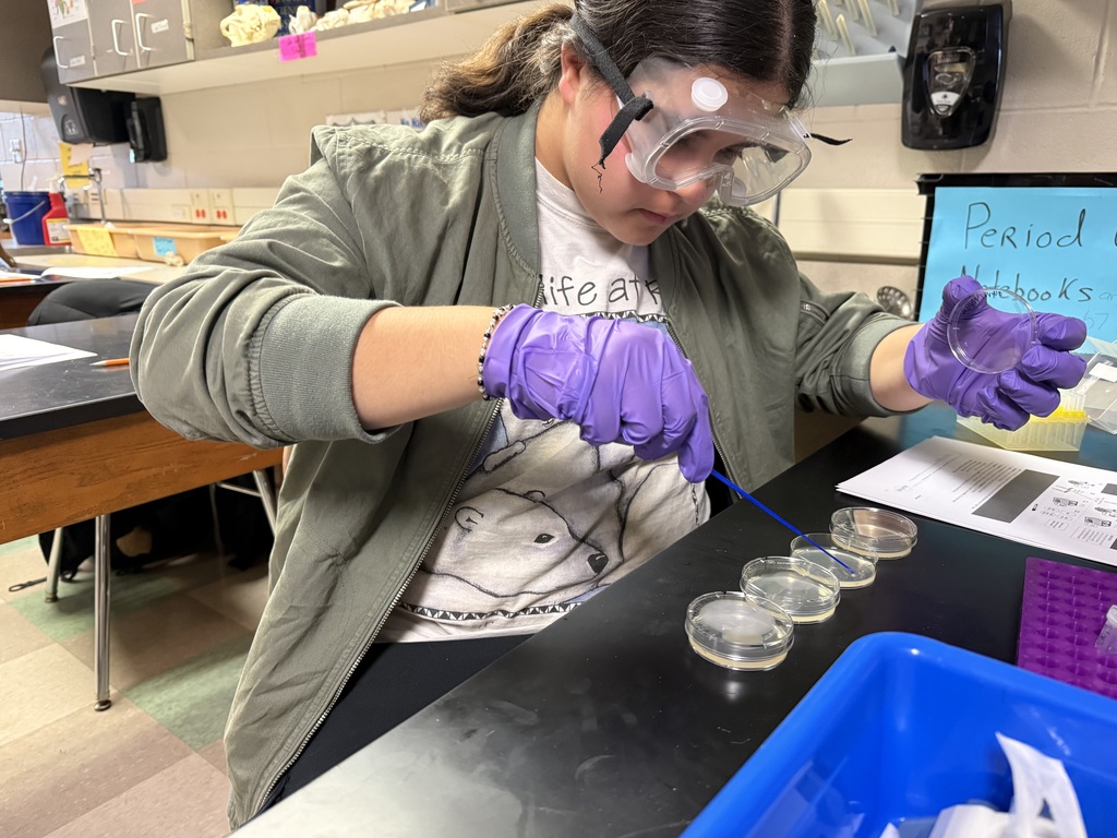 Biotech club conducting an experiment