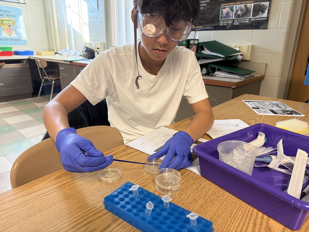 Biotech club conducting an experiment