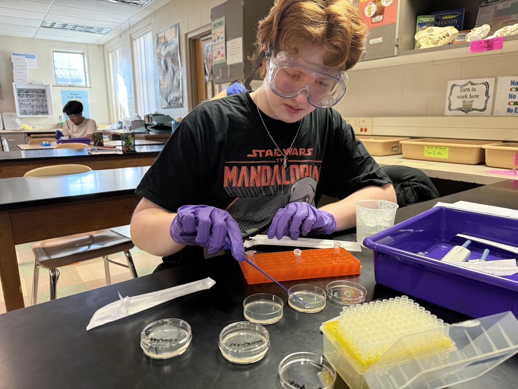 Biotech club conducting an experiment