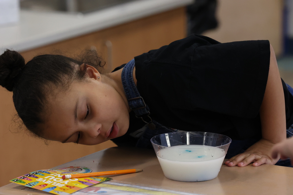 students looks at bowl of milk with food dye 