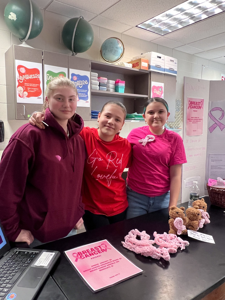 students stand with presentation board on breast cancer with knitted bears and flyers 