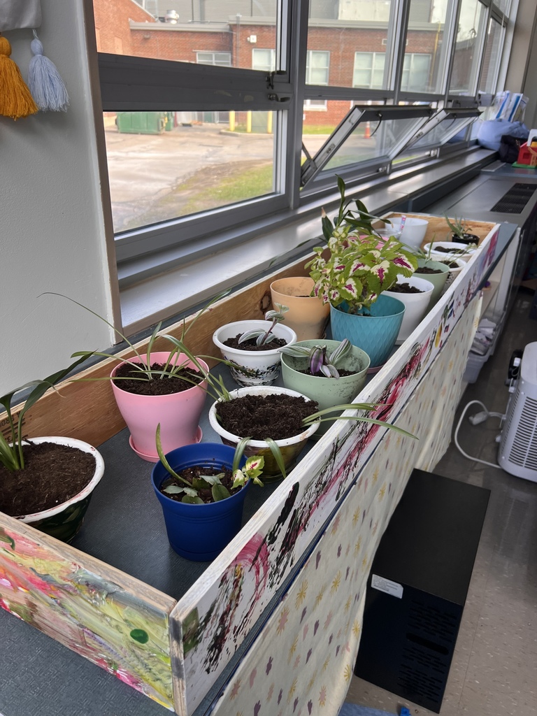 plants potted in soil on the window sill