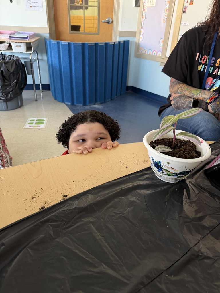 student looks at potted plant for under the table