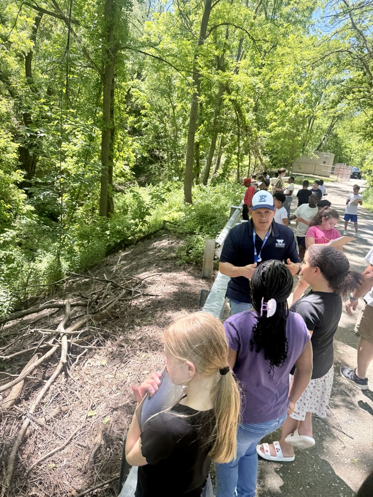 nature walk