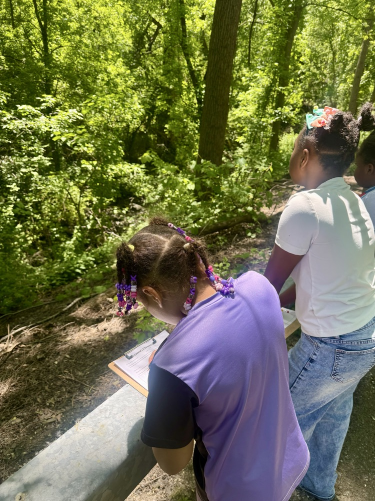 nature walk