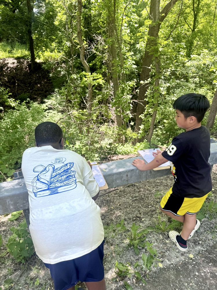 nature walk