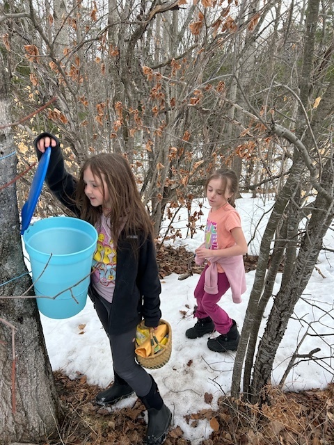 Checking for sap