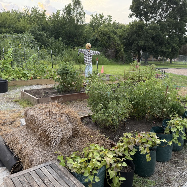garden