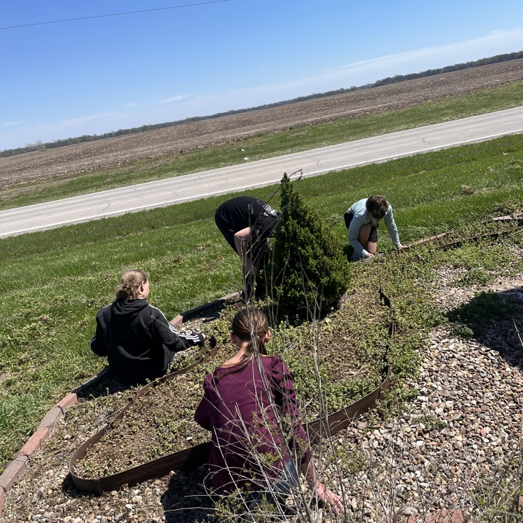 students weeding 
