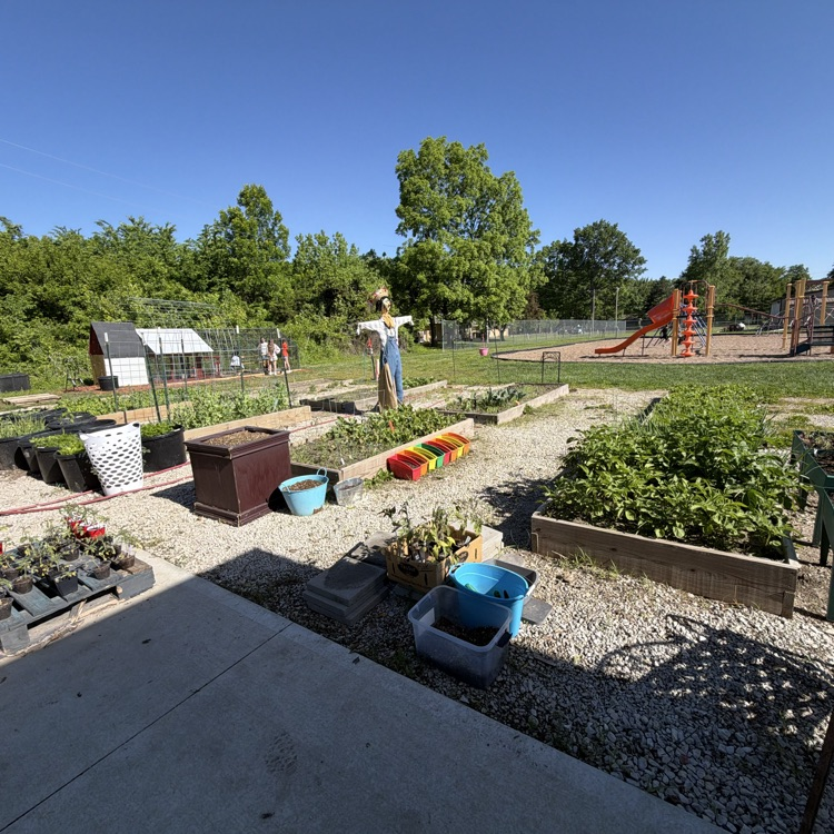 garden