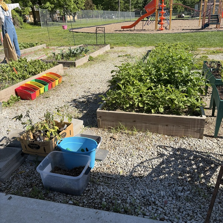 garden