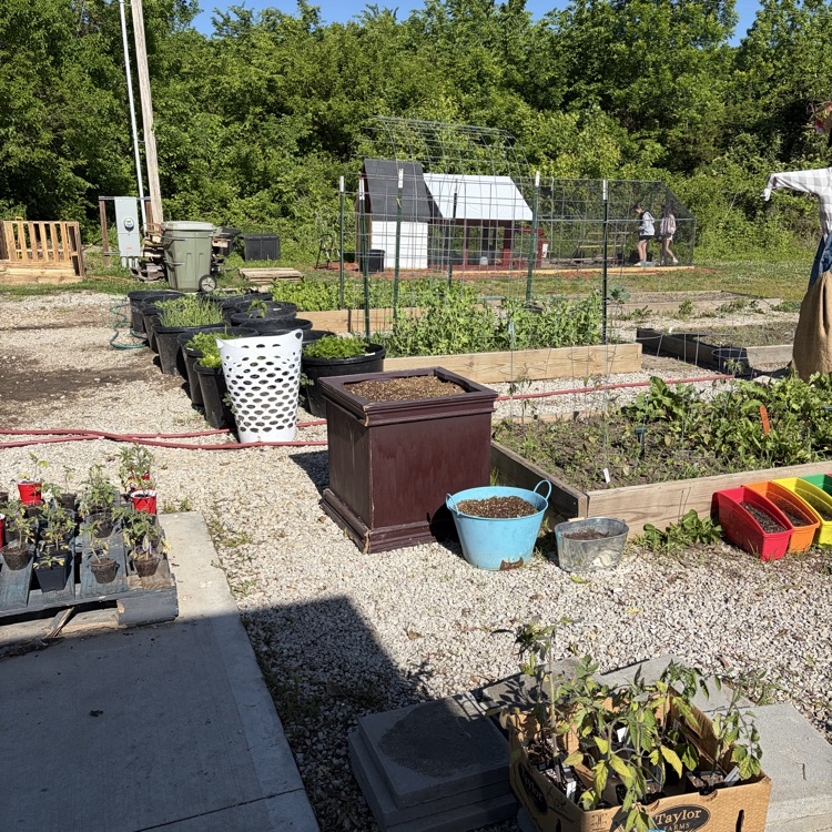garden