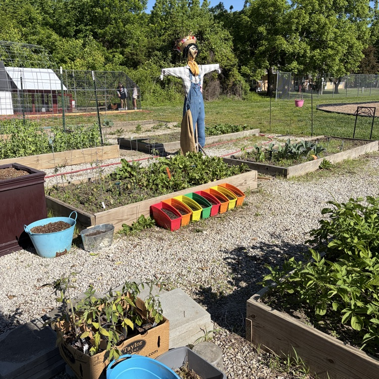 scarecrow in garden