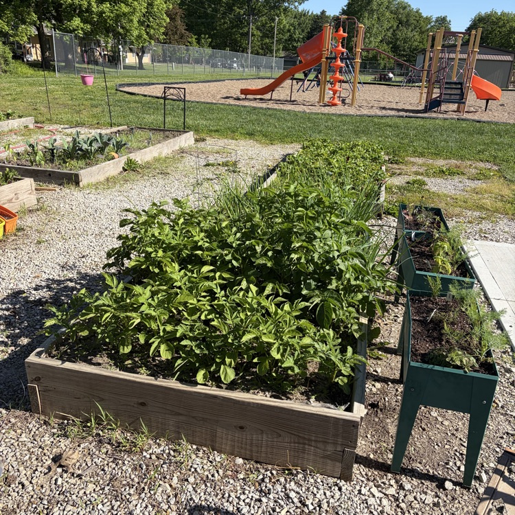 garden