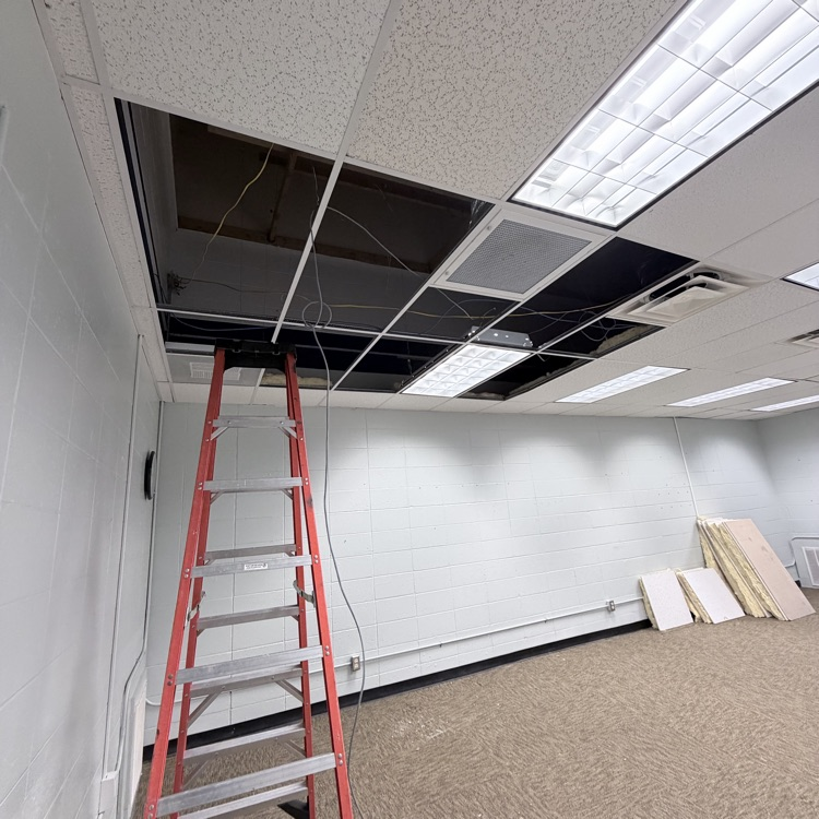 ladder and ceiling tiles removed 