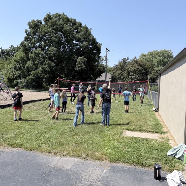 volleyball net
