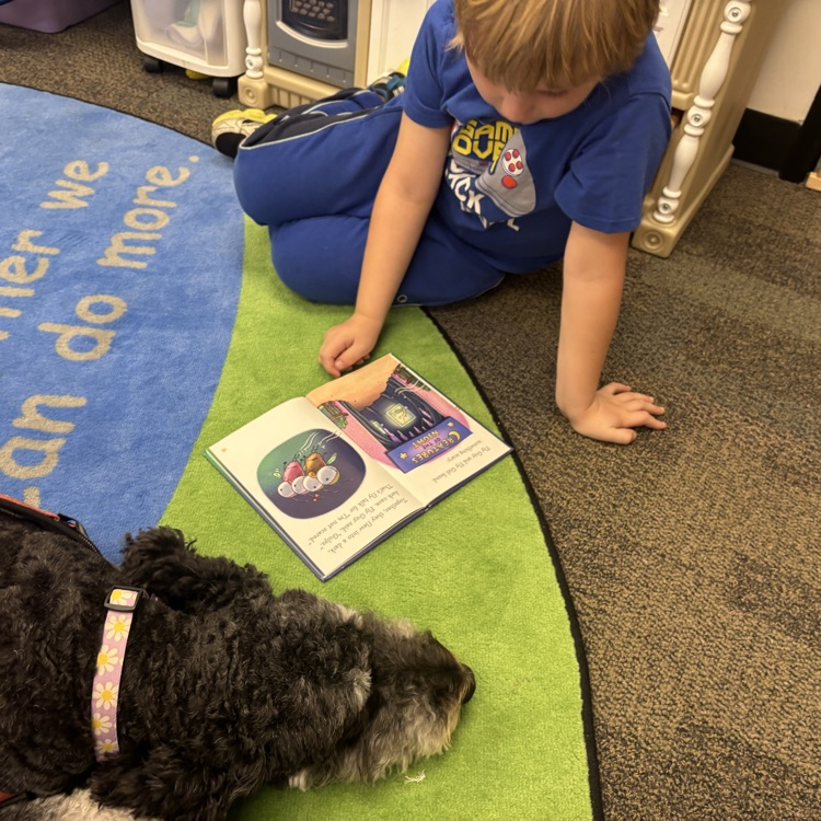 dog and student