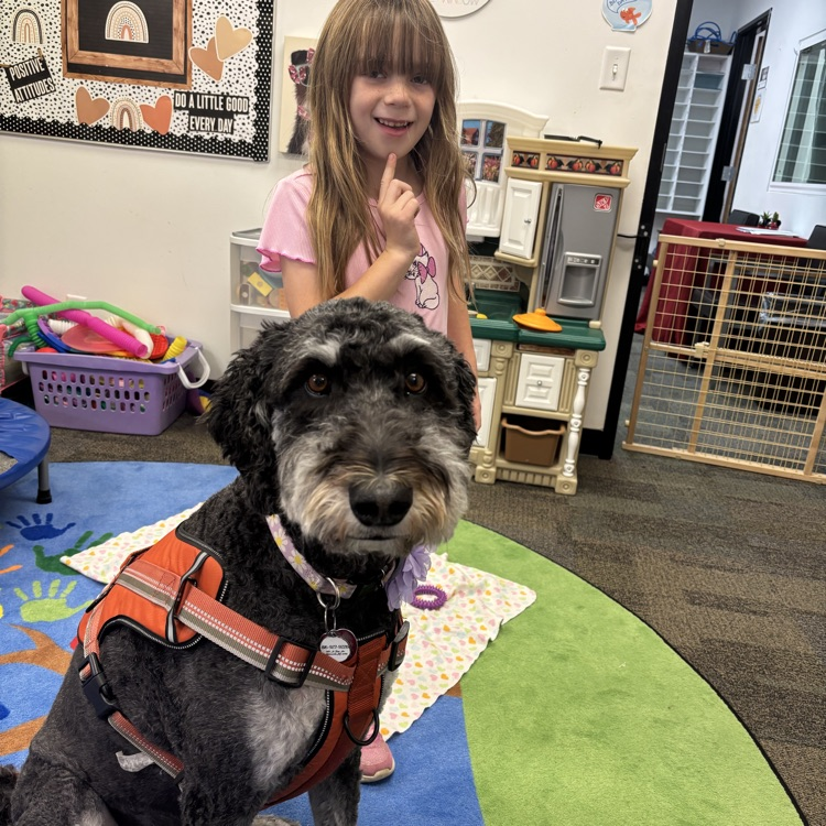 dog and student