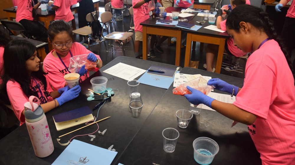 students conducting science experiments