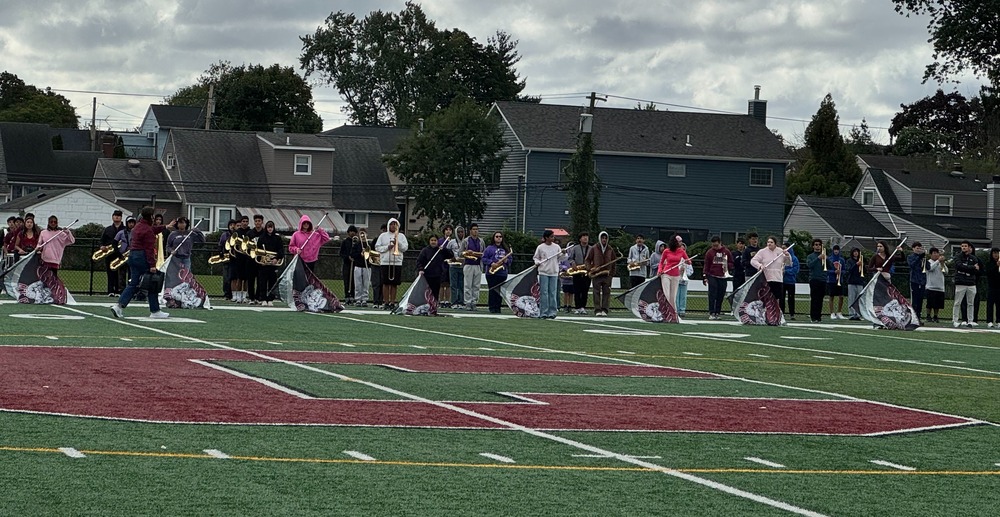 Group of people holding flags on field