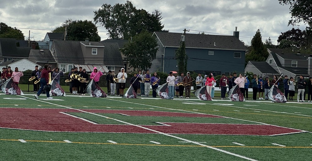 Group of people holding flags on field
