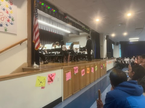beginner concert