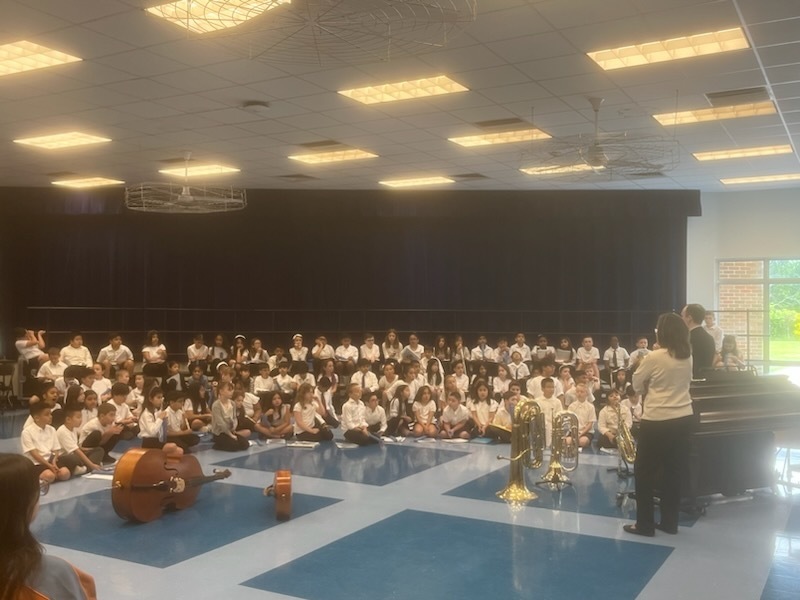 beginner concert