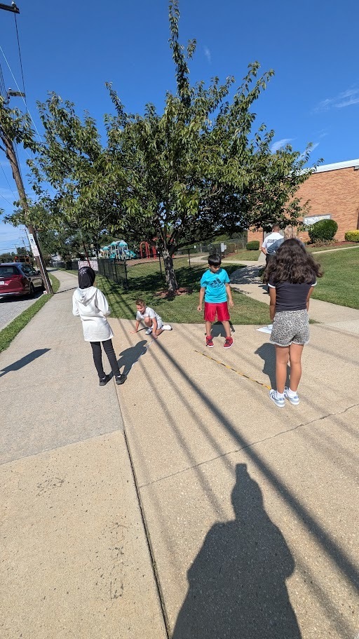 shadow science experiment