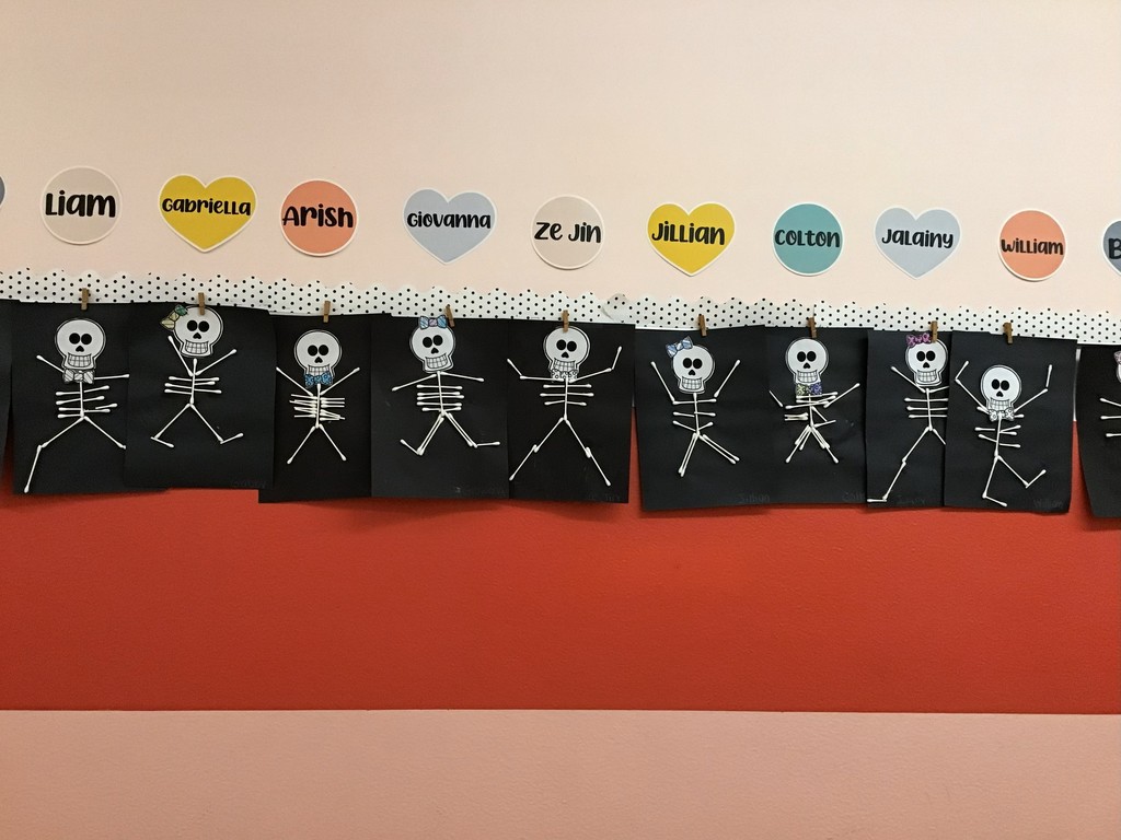 First graders had a special day to learn all about the human body.