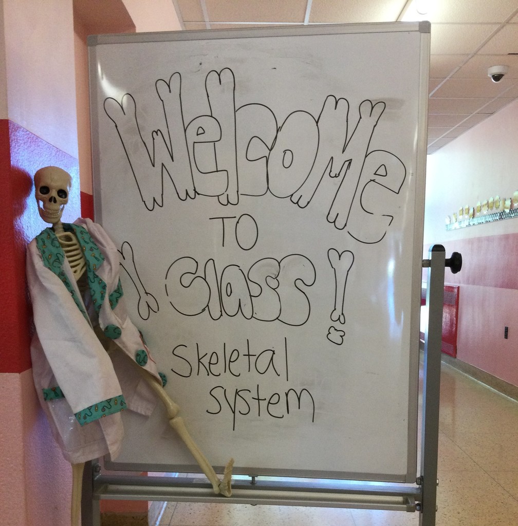 First graders had a special day to learn all about the human body.