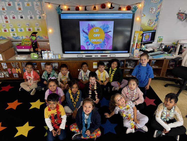 Hawaiian Day! 🌺🌴