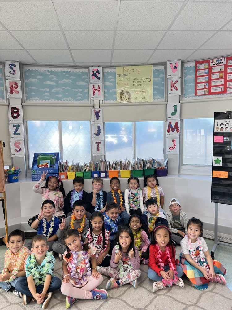 Hawaiian Day! 🌺🌴