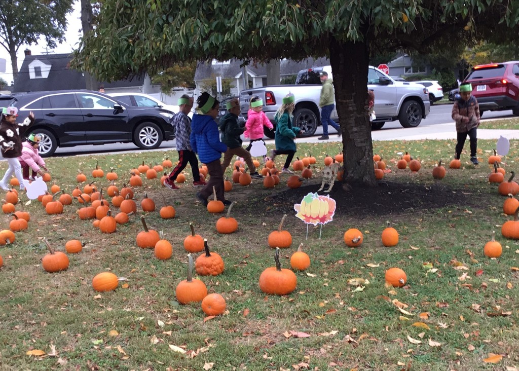 McVey students picking pumpkins in front of the school.