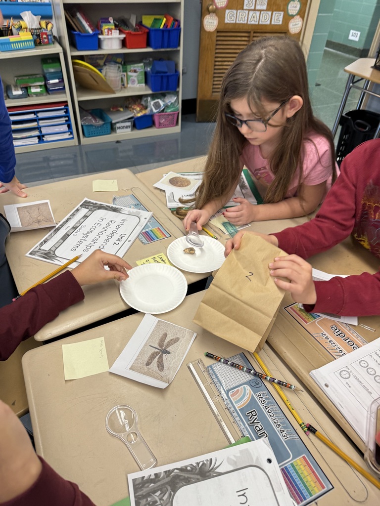 third graders analyzing fossils