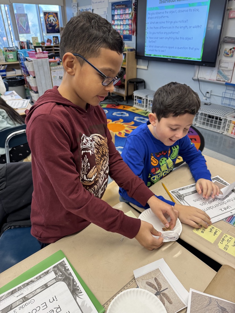 third graders analyzing fossils
