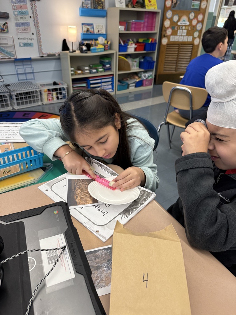 third graders analyzing fossils