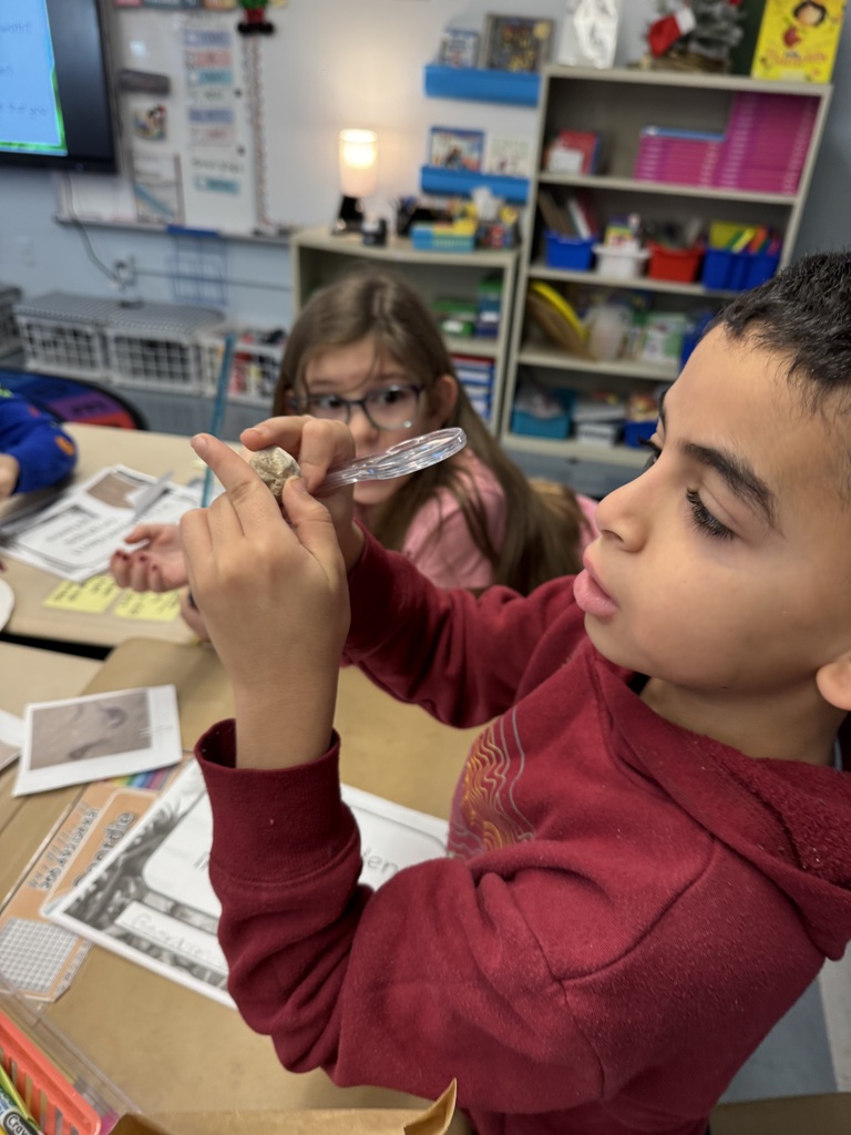 third graders analyzing fossils