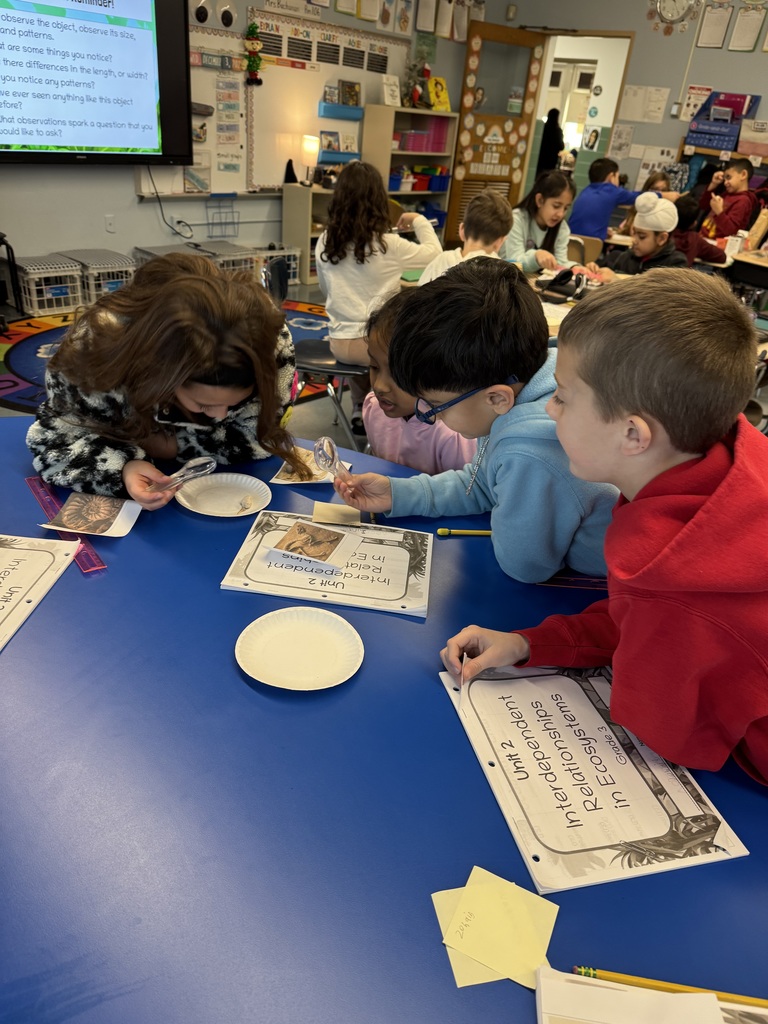 third graders analyzing fossils