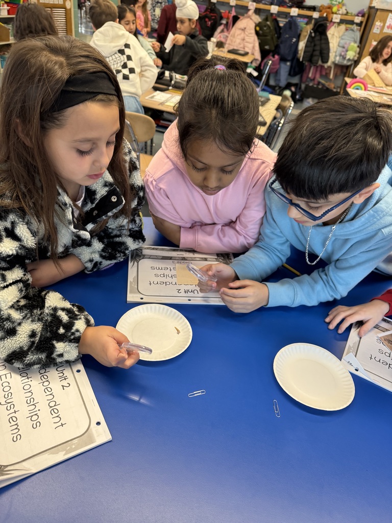 third graders analyzing fossils