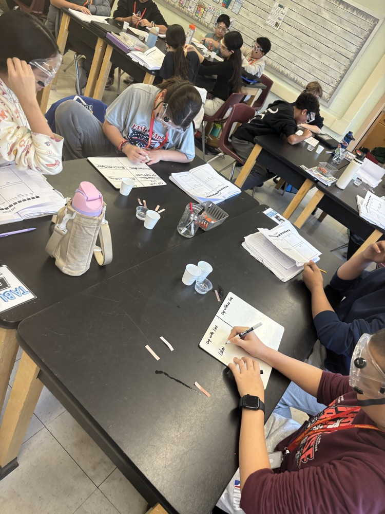 Science rules… and so do safety goggles.