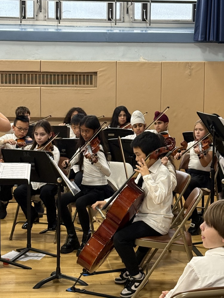 Meadowbrook Orchestra with Ms. Grady